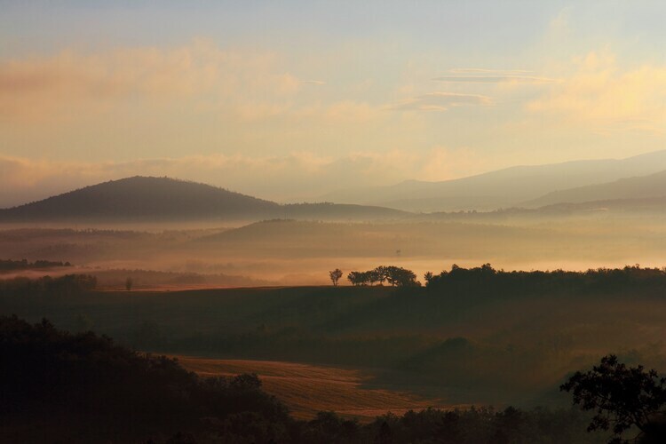 Gite Casole d'Elsa - Vue collines toscanes - Photo 19