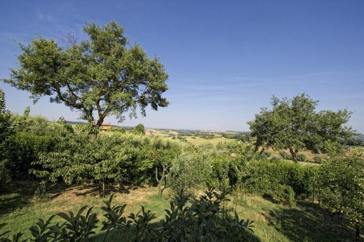 La Logetta, gîte rural à Montepulciano - Photo 36