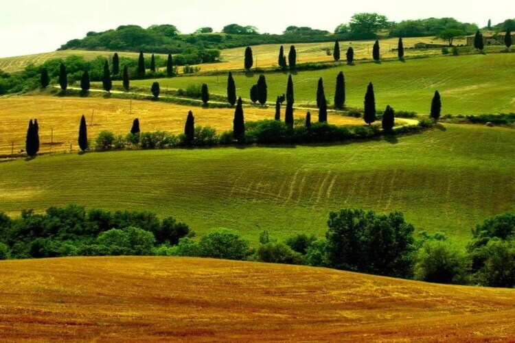 La Logetta, gîte rural à Montepulciano - Photo 38