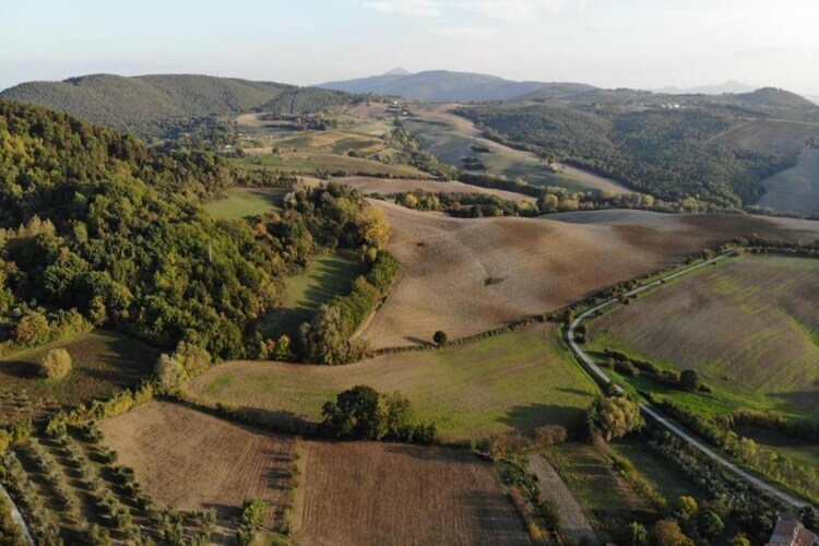 La Logetta, gîte rural à Montepulciano - Photo 39