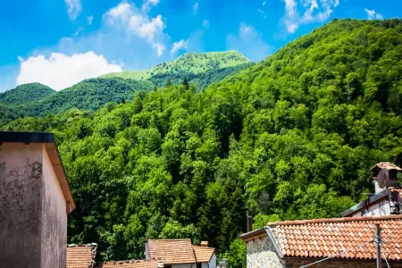 Casa Pascoso : maison Toscane à 100 m de la forêt : photo 35