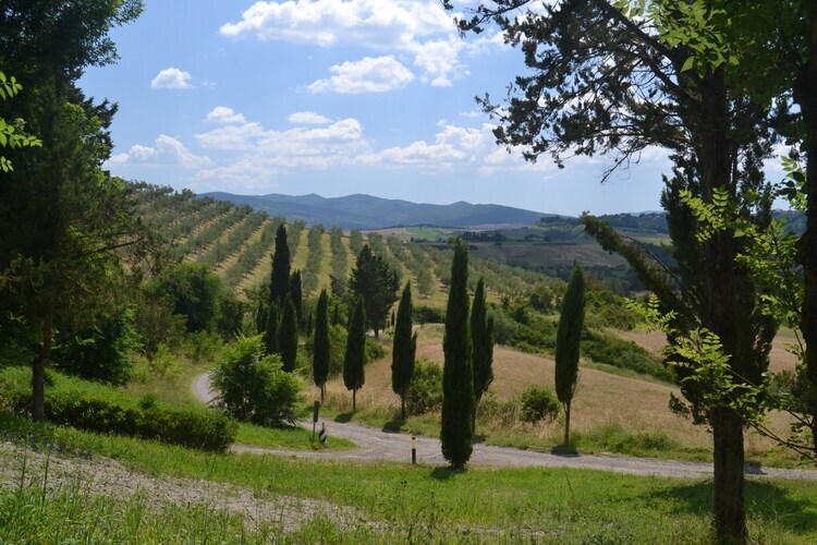 Gatterino, maison toscane 7 pers. avec piscine - Photo 25