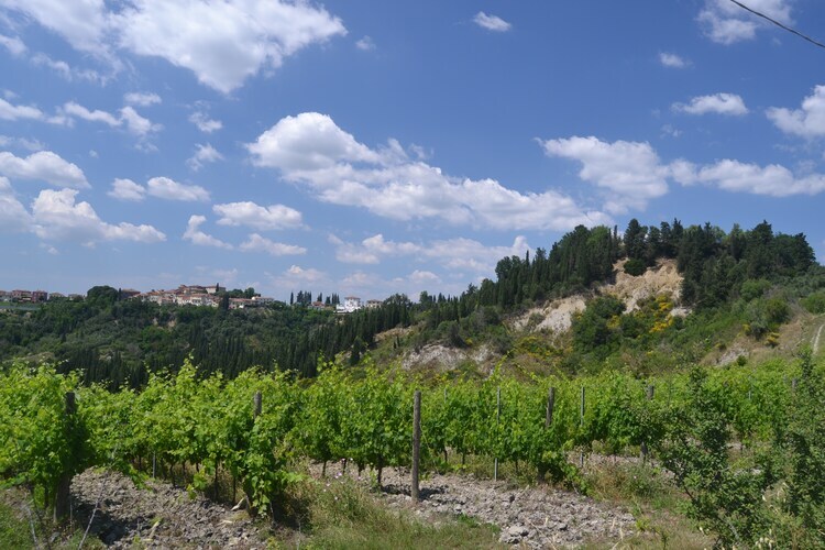 Gatterino, maison toscane 7 pers. avec piscine - Photo 26