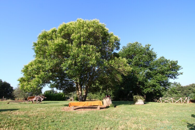 Ferme 6 pers. à Sorano avec piscine et terrasse - Photo 33