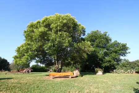 Ferme 6 pers. à Sorano avec piscine et terrasse : photo 33