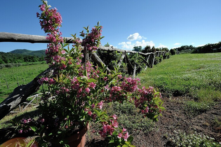 Gîte Piano à la ferme biologique de Sorano - Photo 34