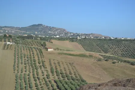 Montalbano, Maison de vacances à Sciacca avec piscine et jardin - Photo 34