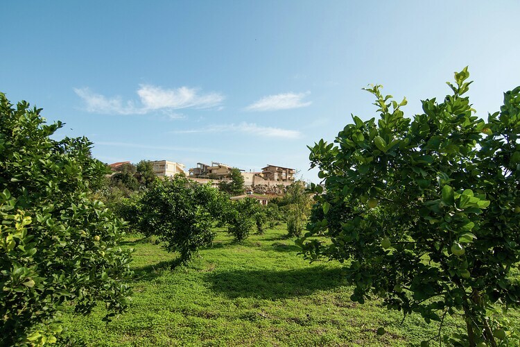 Casa del Limoneto, maison 6 pers. à 300 m de la plage - Photo 16