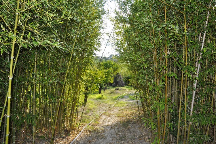 Casa del Limoneto, maison 6 pers. à 300 m de la plage - Photo 32