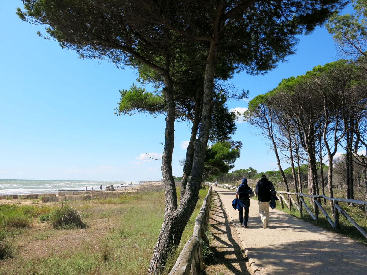 Appartement Antonella à Bibione, 250 m de la plage - Photo 20