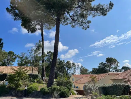 Maison 6 pers, 2 chambres, 1,5 km de la mer à Saint-Jean-de-Monts - Photo 28