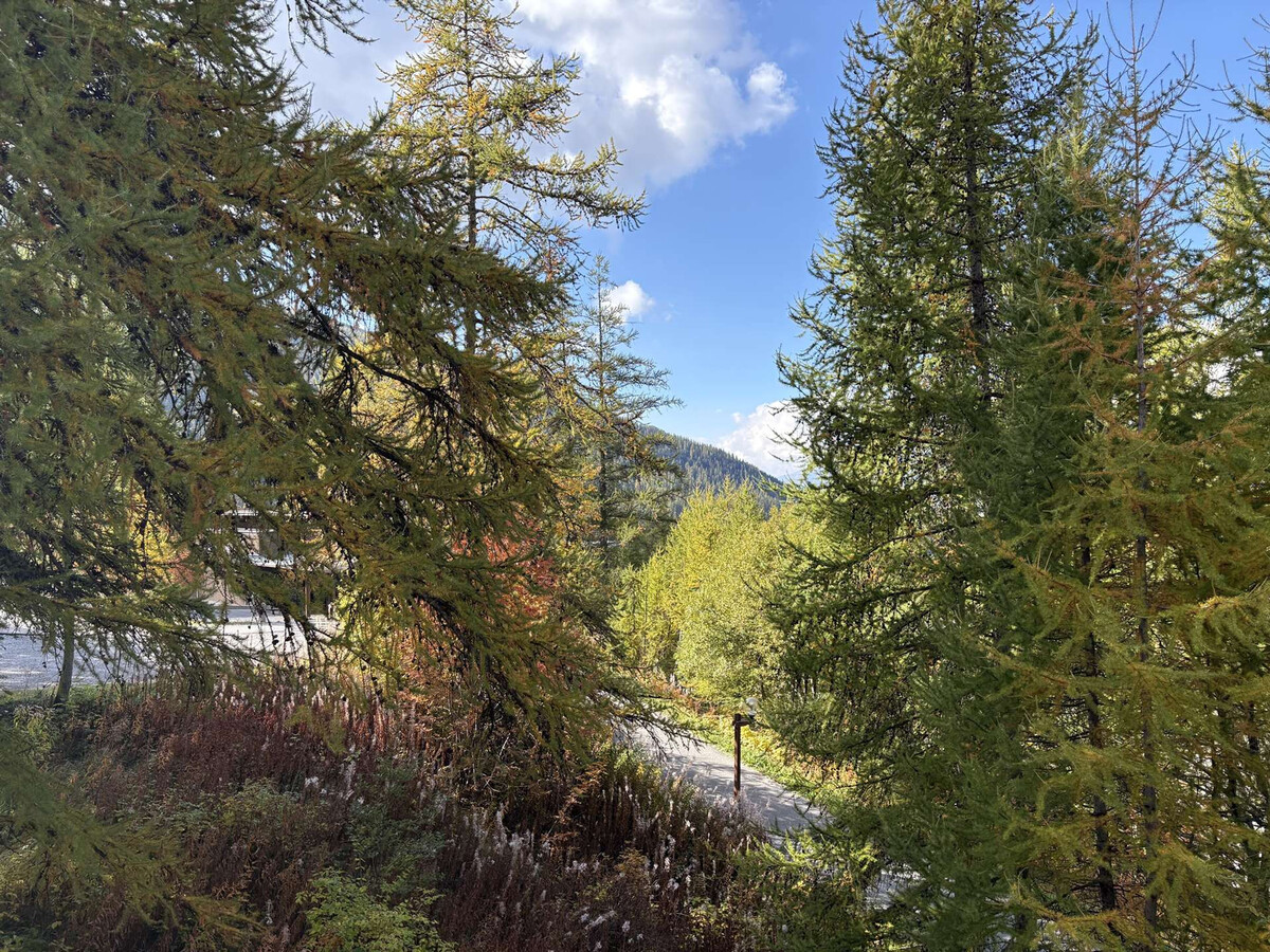 Studio 4 pers. aux Orres, 100 m des pistes - Photo 10
