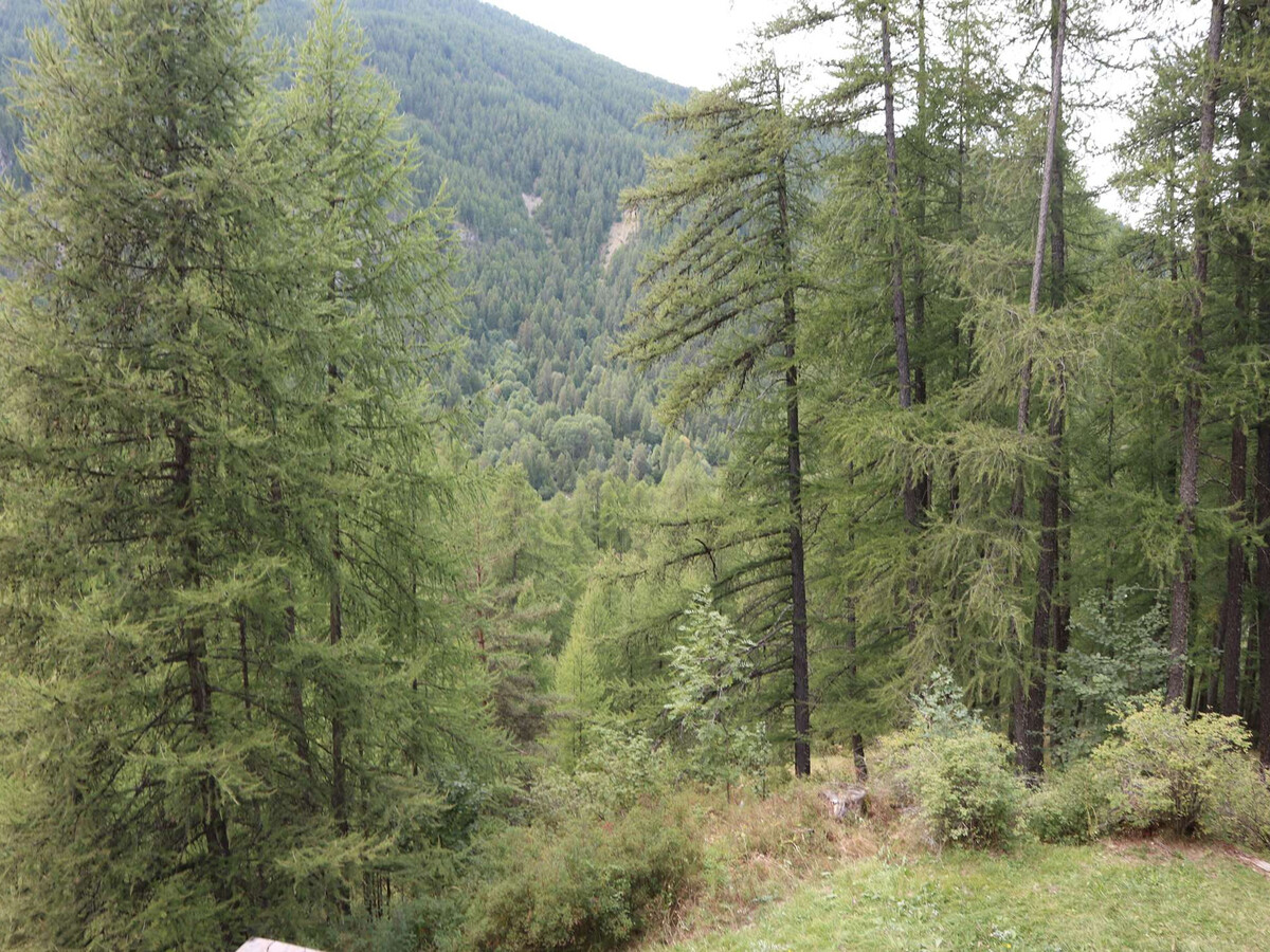 Grand studio 6 pers. aux Orres, balcon et accès pistes - Photo 10
