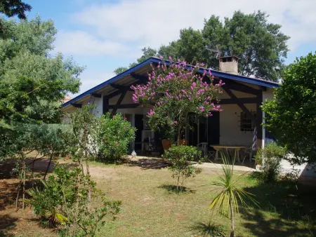 Location maison à Capbreton, Grande maison landaise près du port de Capbreton, 4 chambres, jardin, animaux admis