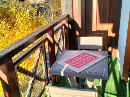 Appartement 2 pièces 50 m² avec balcon à Villard-de-Lans : photo 12