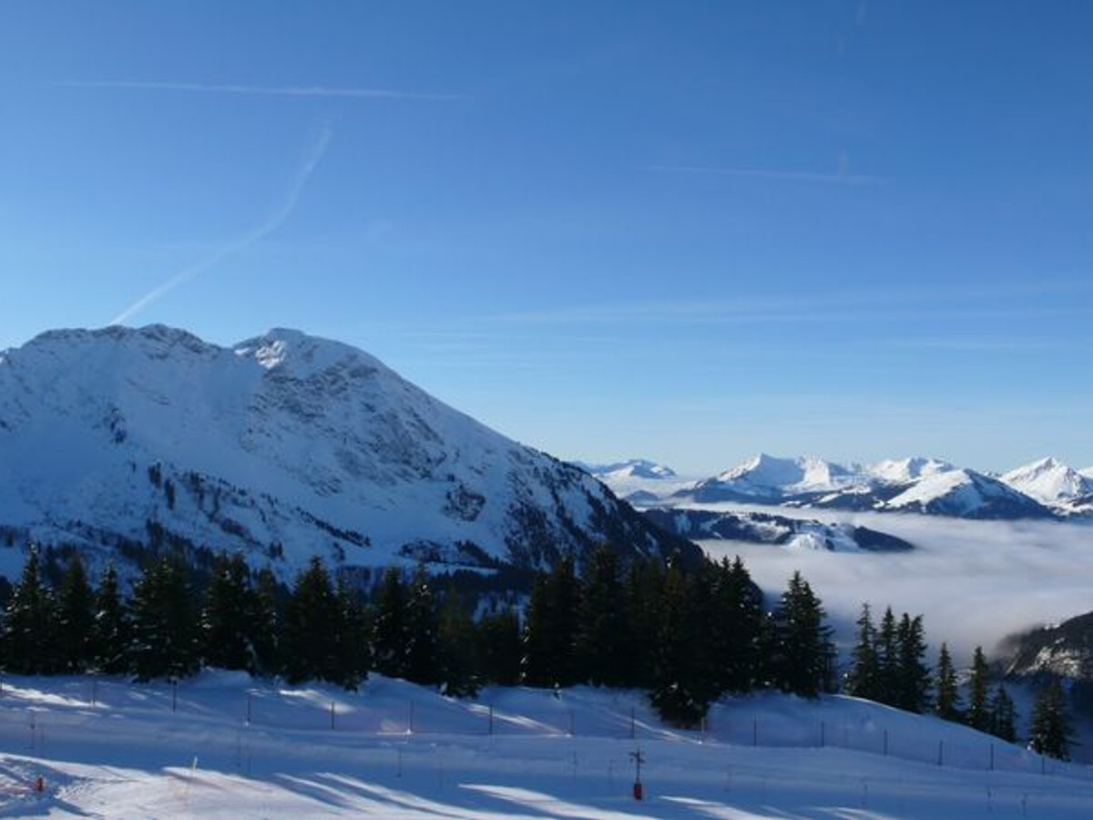Appartement calme 2 pièces, 5 personnes, Avoriaz - Photo 8
