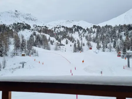 Studio ski-in/ski-out, balcon sud, La Plagne : photo 12