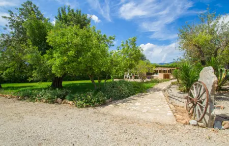 Finca Majorque 8 pers., piscine 52 m² et jardin : photo 15