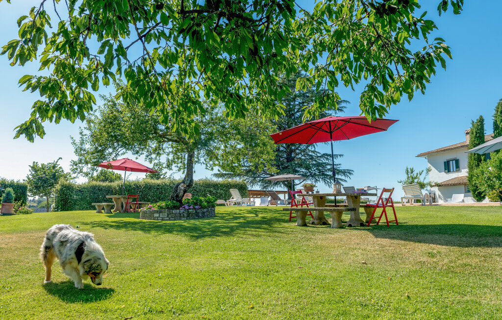 Maison 18 personnes à Bagnoregio - Photo 21