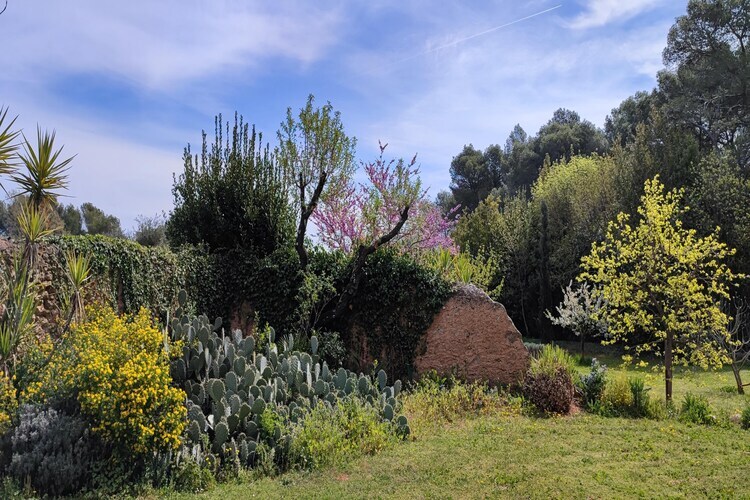 La Bouscade Guesthouse, maison 8 pers. à Puisserguier - Photo 18