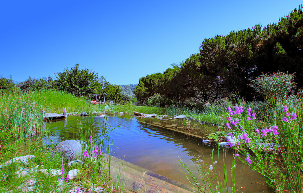 Maison pierre avec piscine biologique à Aubenas - Photo 10
