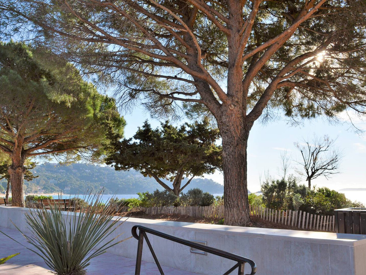 Appart 2 chambres terrasse Sud-Est au Lavandou - Photo 14