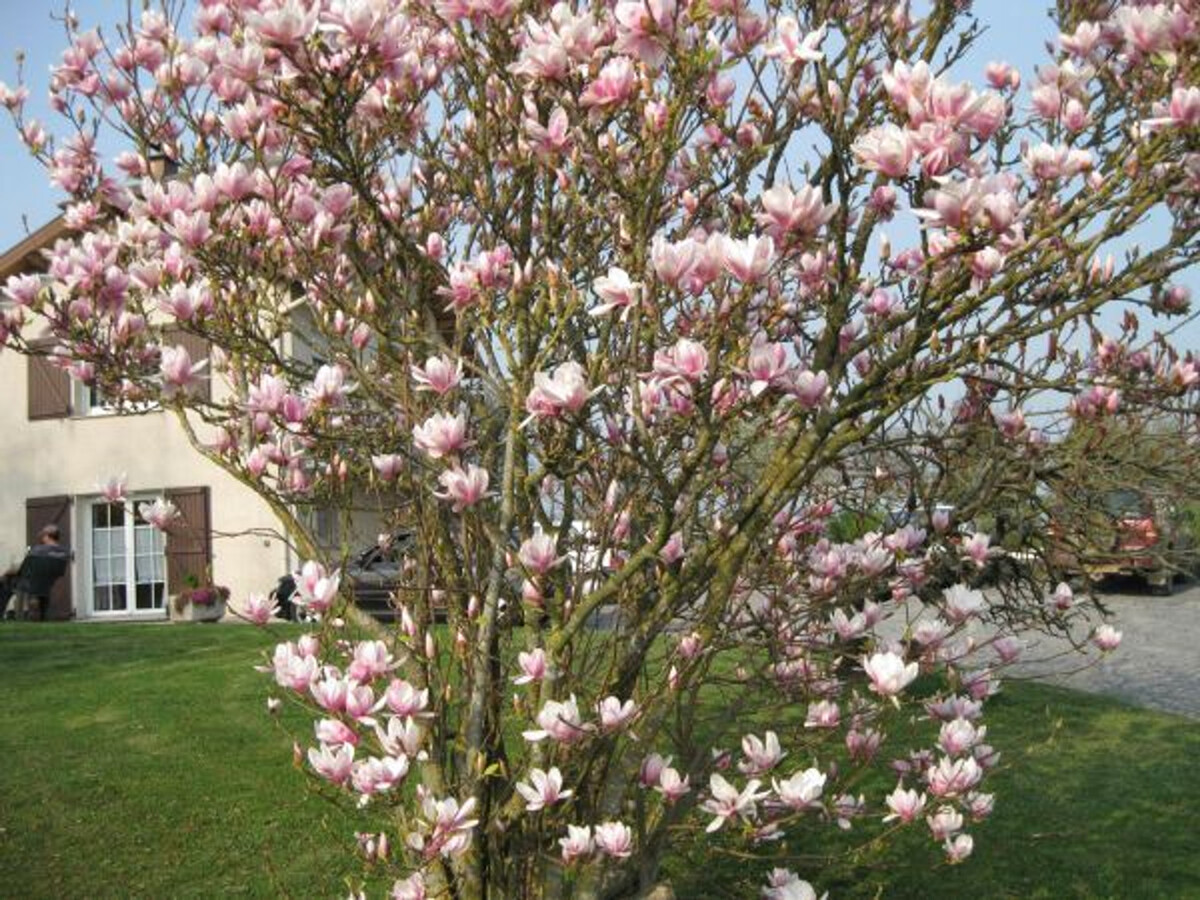 Gîte de plain-pied pour 2 à Sercœur, près d'Épinal - Photo 16