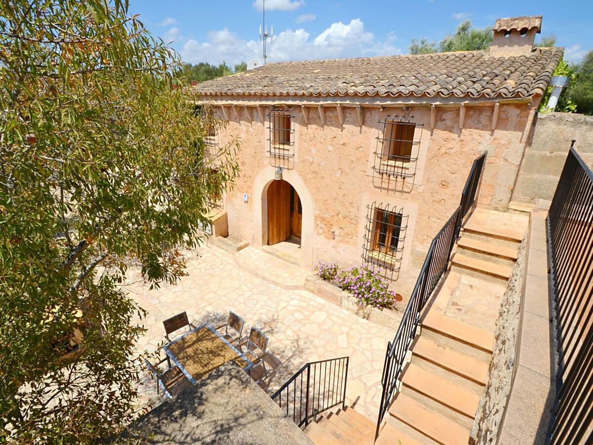 Mascaro – Maison 6 pers. à Manacor avec piscine - Photo 31