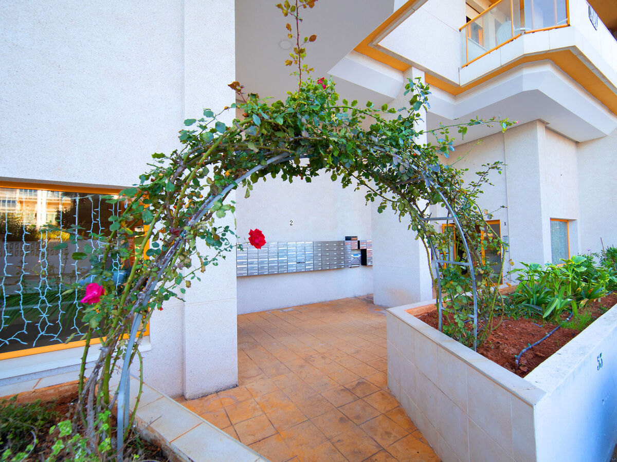 Appartement Ambar Beach, 15ème étage vue mer à Calpe - Photo 19