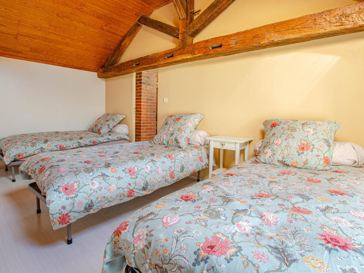 Gîte 10 pers. aux Lacs de la Forêt d'Orient - Photo 22