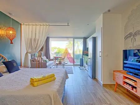 Location appartement à Saint Martin , Studio à Anse Marcel, plage, climatisation, parking