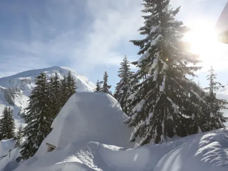 Chalet d'exception 7 pièces pour 12 pers. à Avoriaz - Photo 15