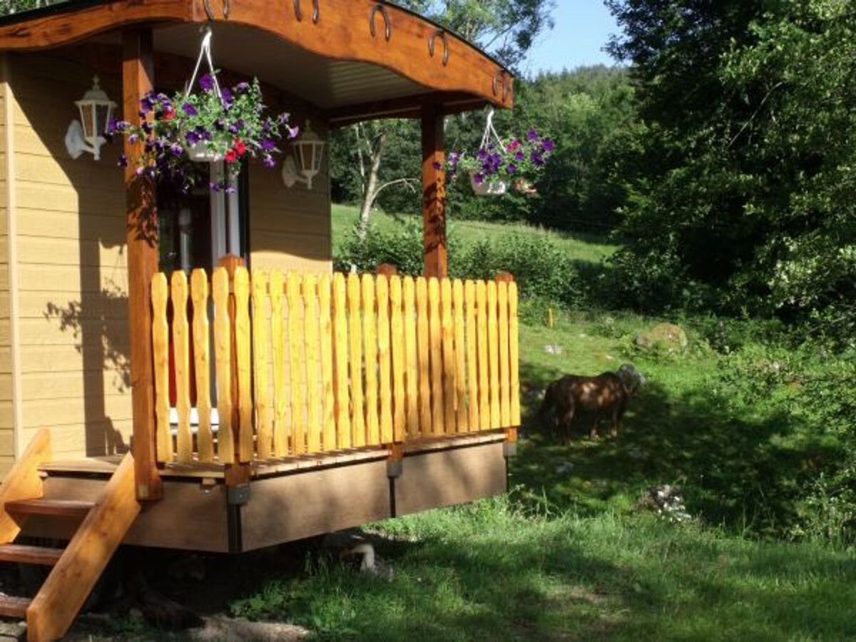 Roulotte cosy avec espace bien-être à Ferdrupt - Photo 11