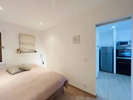 Appartement T2 terrasse, clim, wifi à Lumio : photo 21