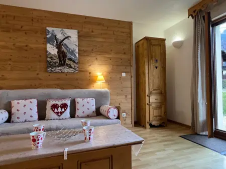 Appart 3p 52m² terrasse montagne, parking – Samoëns : photo 6