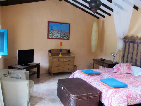 Gîte 90 m² piscine privée et jardin 600 m² à Agaete : photo 16