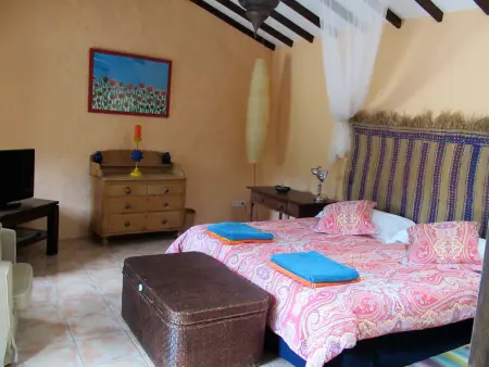 Gîte 90 m² piscine privée et jardin 600 m² à Agaete : photo 17