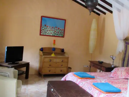 Gîte 90 m² piscine privée et jardin 600 m² à Agaete : photo 18