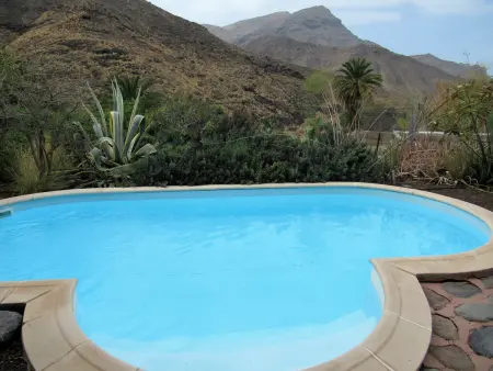 Gîte 90 m² piscine privée et jardin 600 m² à Agaete : photo 24