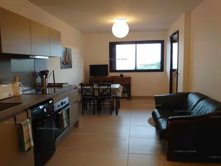 T2 neuf avec terrasse, climatisation et parking à Collioure : photo 3