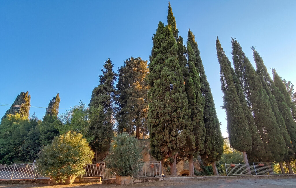 Casa rustica Toscana, Maison 4 personnes à Cedri Peccioli - Photo 26