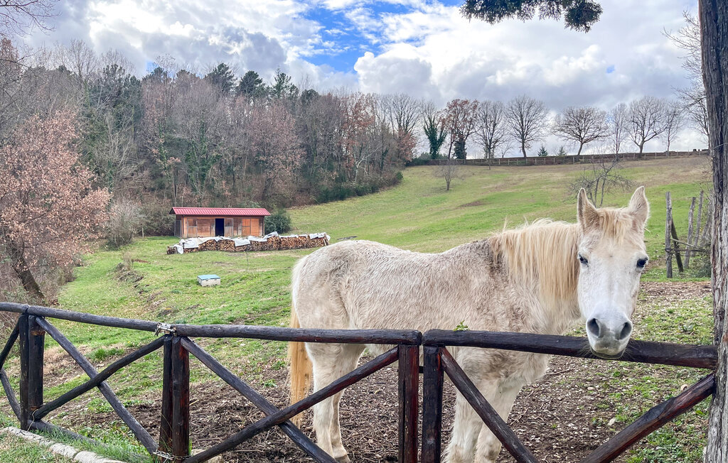 Maison 10 personnes à Bibbiena - Photo 8