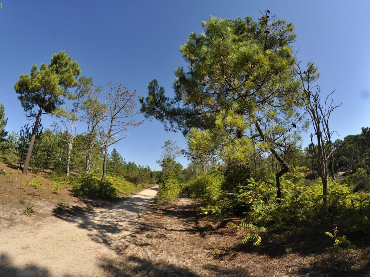 Maison Pascaline 6 pers., forêt et mer à proximité - Photo 26