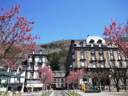 T2 face aux thermes du Mont-Dore, 4 pers, animaux - Photo 10