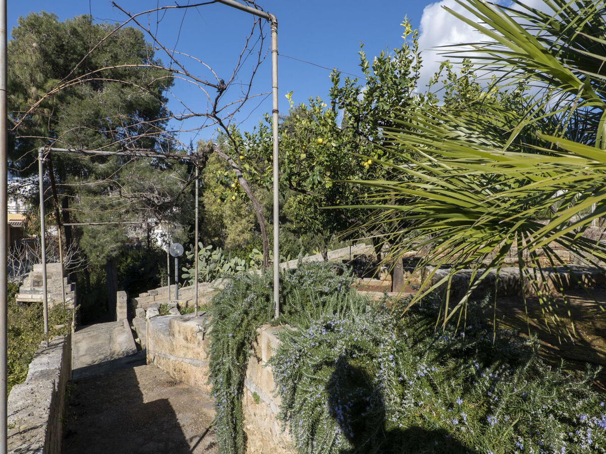 Lu Ientu : appartement 2 pièces à Torre Vado - Photo 23
