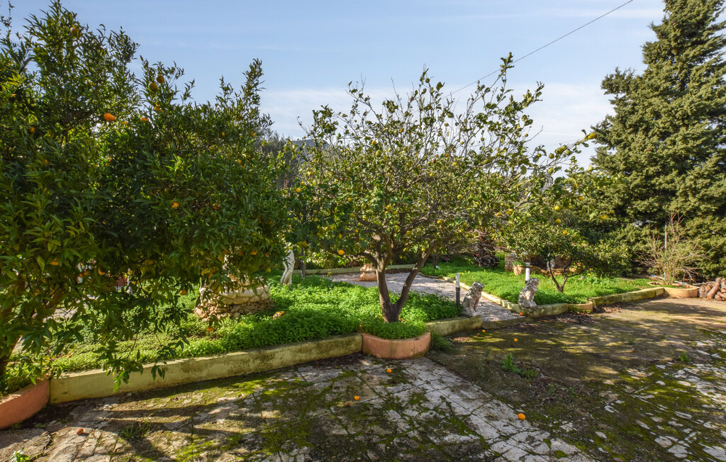 Maison 6 personnes à Altavilla Milicia - Photo 7