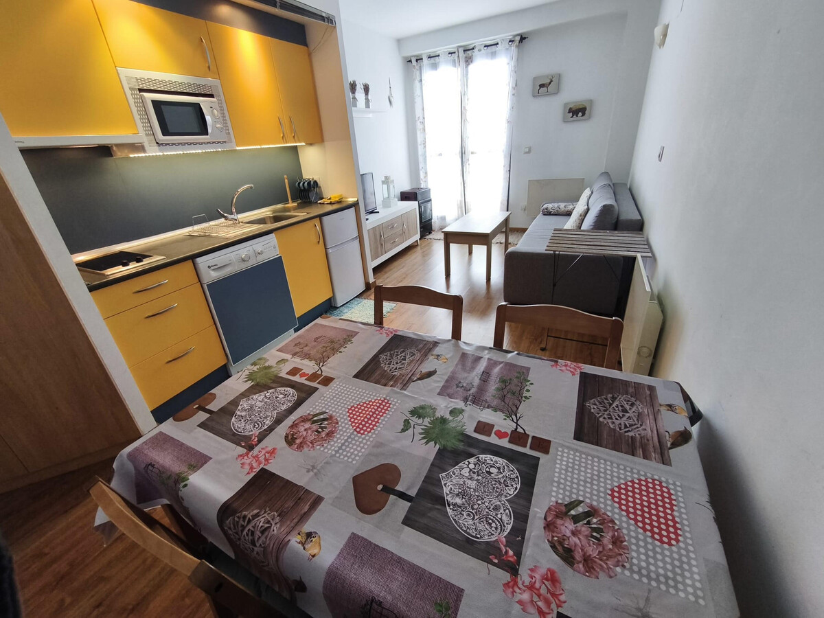 Appartement ski Aísa-Candanchú, local à skis et parking - Photo 7