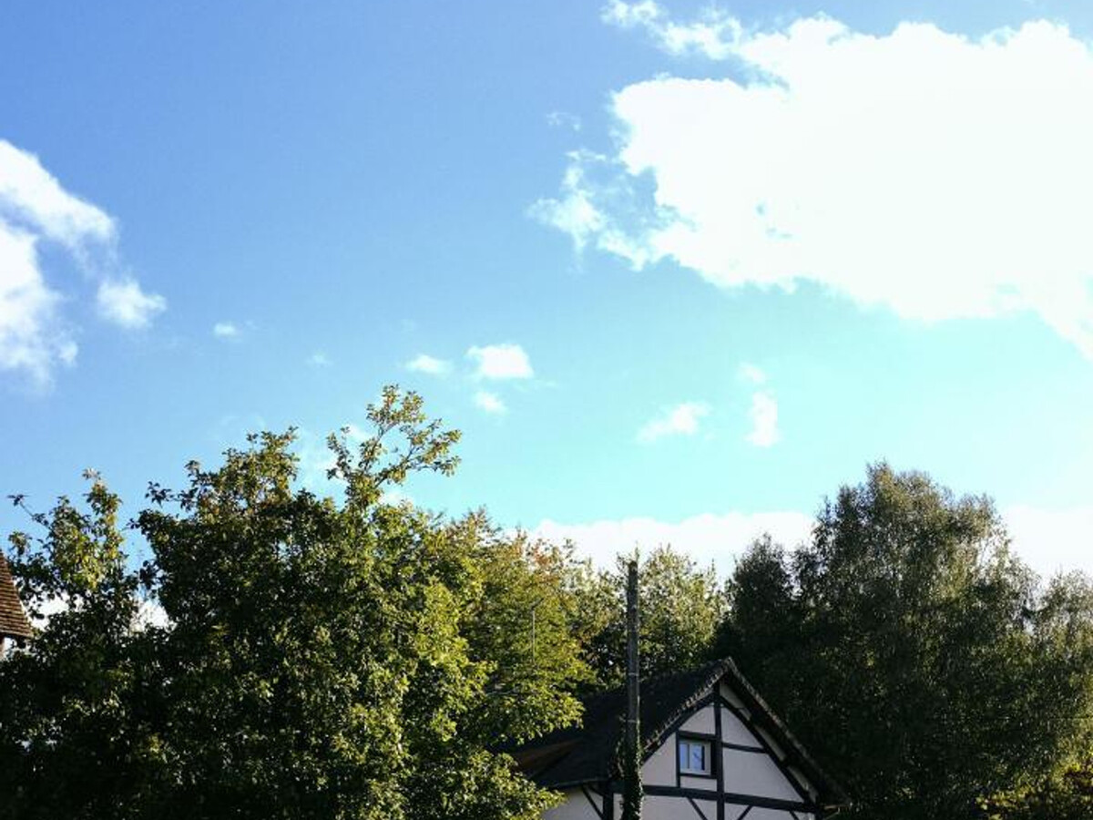 Gîte Marcel, maison de campagne 3 chambres avec jardin arboré - Photo 29