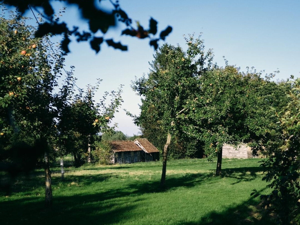 Gîte Marcel, maison de campagne 3 chambres avec jardin arboré - Photo 31