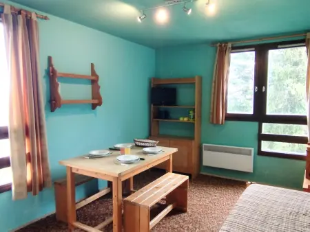 Location appartement à Les Adrets Prapoutel, Studio cabine skis aux pieds, 5ème étage, Les Adrets-Prapoutel